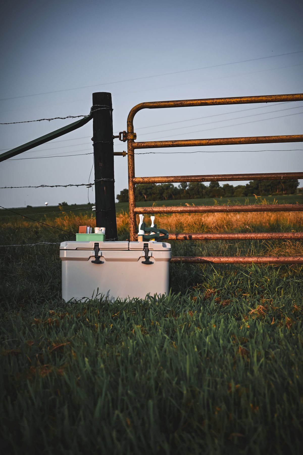 cross-five-cattle-cooler-animal-livestock-medicine-holder