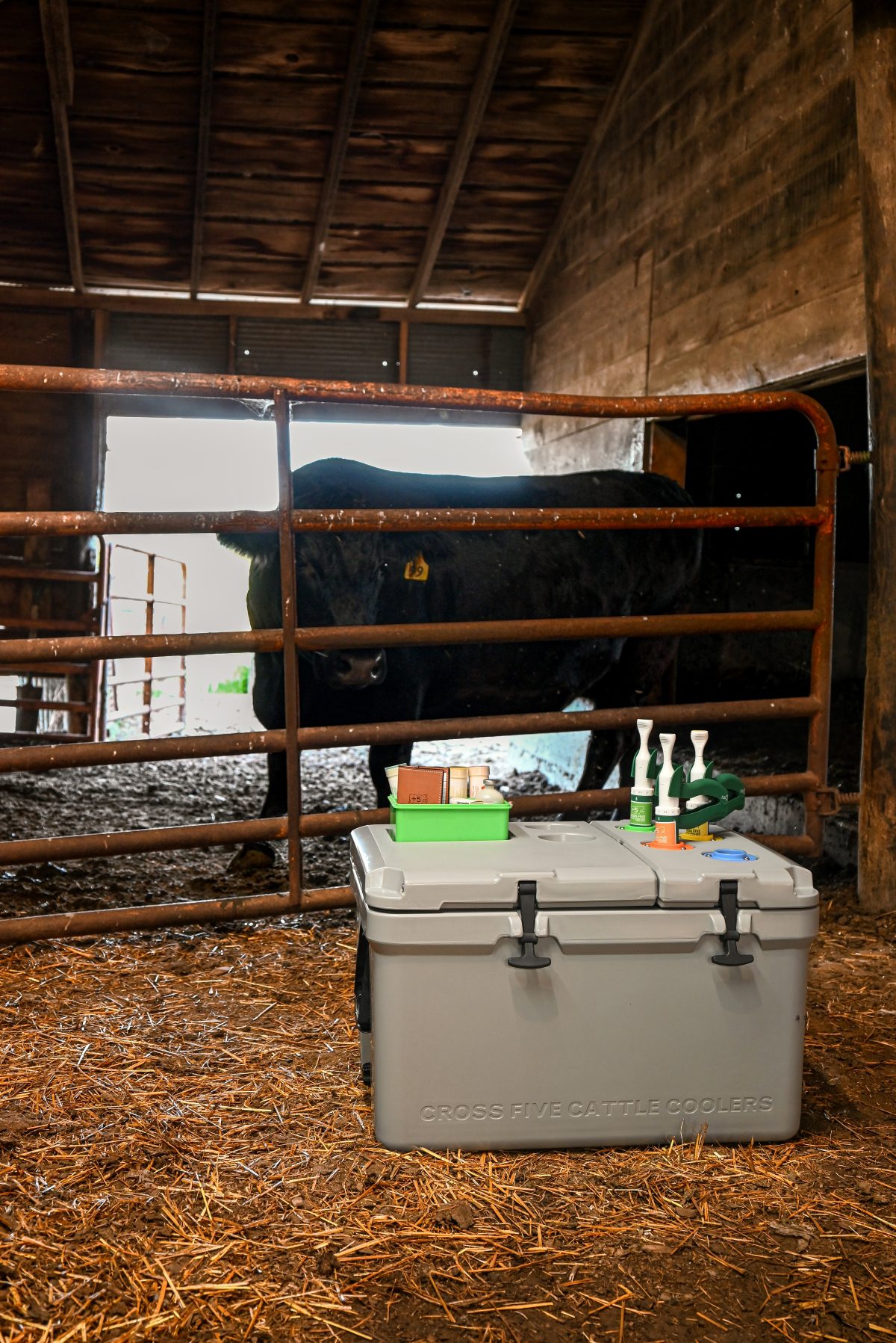 cross-five-cattle-cooler-livestock-management