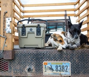 best-cooler-for-traveling best-cooler-for-traveling