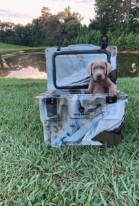custom-coolers-for-outfitters